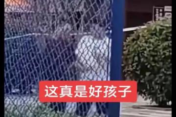 父親送孩子沒趕上高考，自責不停扇巴掌，網友：守時是人生第一課