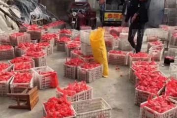 第三胎喜得千金，夫妻倆開心請十班嗩吶唱兩天，十萬個雞蛋免費發
