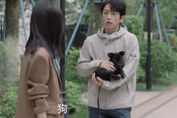 仁心俱樂部結局，秦文彬、劉梓懿社內戀愛，馬拉松跑起來