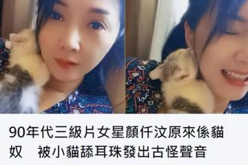 港星顏仟汶定居東莞！住所裝修接地氣，51仍凍齡，離婚後單身多年
