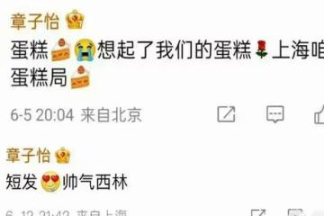 章子怡跟楊冪梅婷不講武德算啥 曾當劉嘉玲面脫衣服博關注才叫狠