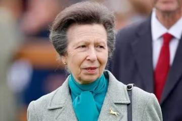 74歲安妮公主以金屬唇色亮相嘉德勳章儀式,打破傳統風格!