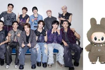 瘋狂!韓團SEVENTEEN聯名LABUBU 拍賣結標價近百萬