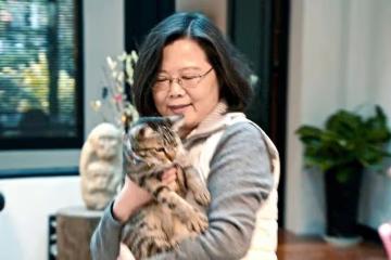 《看不見的國家》掀觀影潮 上映7天票房破千萬
