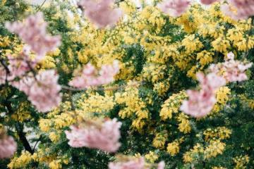 搭夥8年,今年女兒結婚,我才看清他的真面目,幸好沒領結婚證