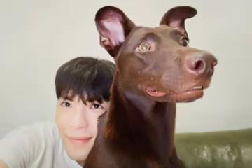 好心疼｜蕭敬騰愛犬離世　老婆生日前慟失「家人」崩潰放聲大哭