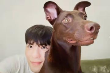 蕭敬騰夫妻「2個月掉的淚比2年還多」 慶生傷感:接連失去奶奶、愛犬