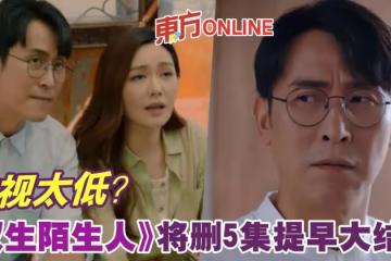 收視太低?《雙生陌生人》將刪減5集提早大結局