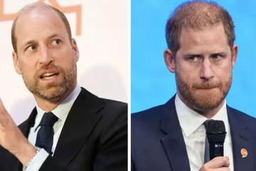 王室兄弟情緣何破裂?威廉王子親述家庭裂痕內幕!