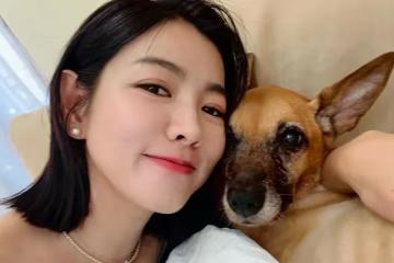 愛犬錢錢抗癌106天平靜離世　米可白哭腫眼喊：不痛了