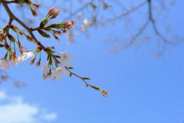 3000退休金40萬存款,拒絕兒媳找的工作,我見不到孫子了