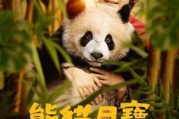 《爸爸3》諾一主演電影！合體「真實熊貓」劉燁、霓娜一家三口合體