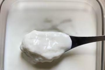 冰酥酪（牛奶和醪糟的完美結合）