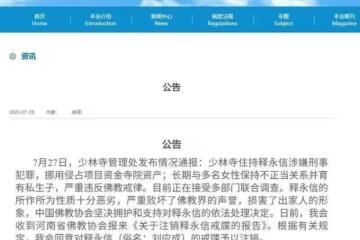 「正佛級」待遇?「花和尚」釋大師為何數次舉報,依然屹立不倒?