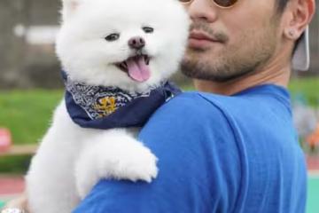 高以翔愛犬離世!生前為毛孩開專屬帳號…二哥悼:去找爸爸爺爺吧