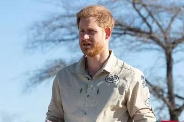 哈里王子非洲之行淚崩，阿奇莉莉貝特恐難見「第二故鄉」？