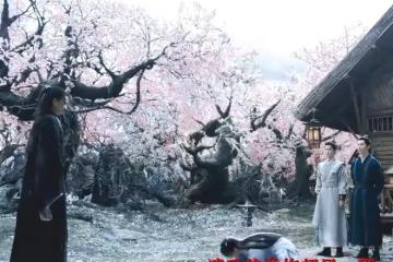 華山論劍孟子義結局如何,圖黃藥師年紀大,演技尬?