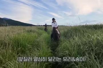 少女時代俞利墜馬! 濟州島出意外「重摔瞬間」全被拍