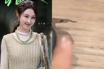 快遞紙箱藏蟑螂卵？女星家中不下廚「驚見巨型蟑螂入侵」　專家證實了