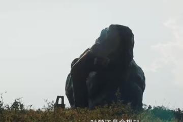 生萬物大結局講了啥?五十年後回憶錄,一個都不能少