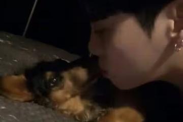 SHINee鍾鉉15歲愛犬Roo離世！曾走失3天奇蹟尋回　粉絲哀悼引淚崩