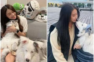 懷孕被勸「養狗對小孩不好」!亞亞遇毒長輩…反擊超療愈:到處都細菌