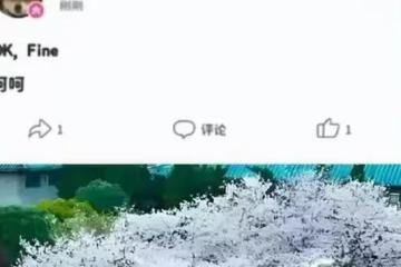 敗訴後,楊某媛直播稱「狀態很好」,武漢大學養蠱為患啊