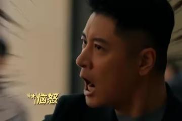 《以法之名》直到謝鴻飛家雞窩搜出金條,才知,幕後黑手藏得太深