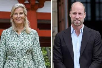 威廉王子點頭！蘇菲公爵夫人獲王室關鍵職位，成凱特王妃最強盟友