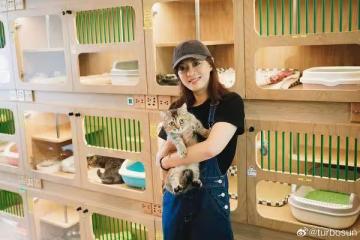 孫儷狂曬自製減脂健康餐「菜肉飯都有」　9張鐵盤照登熱搜第一！