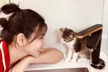 米可白愛犬離世2月撿到貓「驚見黑胎記」！曝神奇巧合：錢錢派來的