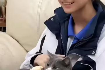 邪惡！15歲少年嫉妒她成績好、家境優，於是殺了她，法庭下跪求饒