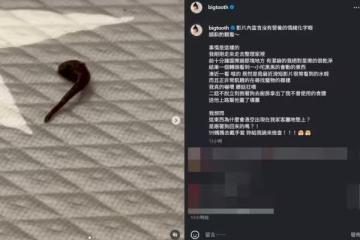 大牙打掃到一半「突見黑影蠕動」!細看嚇到狂飆髒話:跟著狗回來嗎