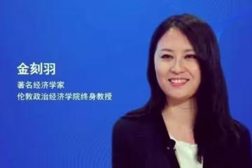 在愛潑斯坦案中躺槍的金刻羽,真的懂經濟嗎?