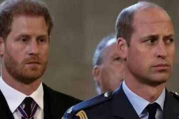 威廉哈里兄弟情破裂內幕曝光！導火索竟是梅根，凱特也捲入其中…