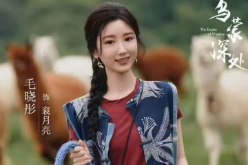 11月24日追劇日曆，4部長劇和5部短劇有更新，你更想看哪部？