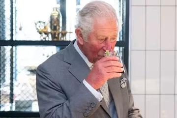 查爾斯國王抗癌治療期間飲食禁忌曝光，隨從嚴格執行！