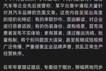 小米等新能源車企報警,端掉「黑水軍」團伙,網友炸鍋