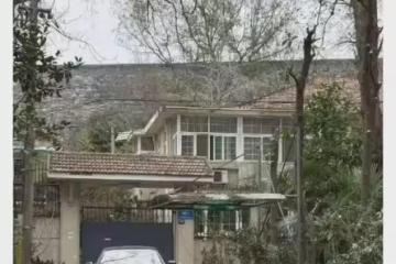 南博前院長徐湖平被帶走，文物大案迎來關鍵轉折