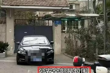 徐湖平夫妻被帶走!紅二代身份曝光,一家三口精密布局盜寶