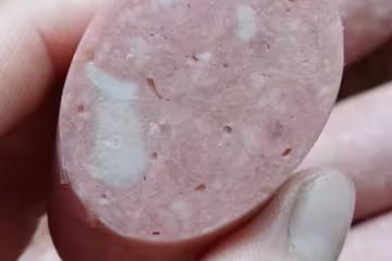 自製火腿腸