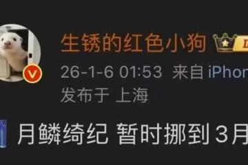 粉絲的心要碎了！鞠婧禕、曾舜晞新劇《月鱗綺紀》延至3月開播