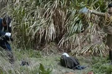 《長河落日》：將「篤信者」藏入慰安所，才是武木一郎最狠的算計