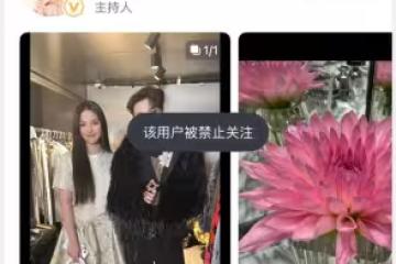 報應!前夫被抓、高調炫富、立場不定,李湘終於為自己的言行買單