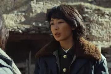 糙漢胡歌,臉黑楊紫,颯爽梅婷,正午陽光《生命樹》有點東西