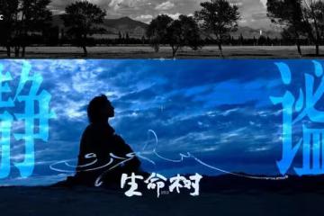 《生命樹》首播,一星差評刷爆評論區,都在吐槽楊紫臉部僵硬