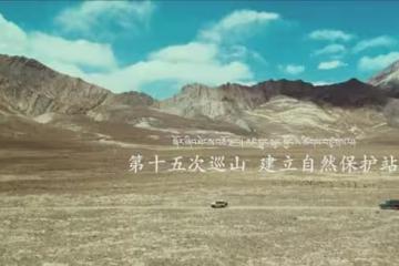《生命樹》直到張揚慘死、白椿離開，才知多傑為啥讓巡山隊賣羊皮
