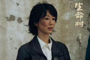 2月11日追劇日曆,9部電視劇更新,《被隱匿的真相》即將收官