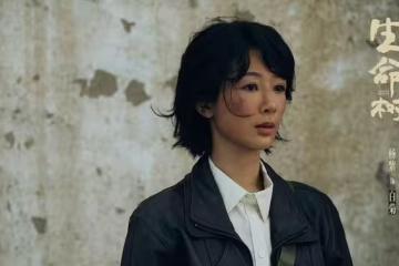 2月13日追劇日曆，7部長劇更新，主旋律大劇《生命樹》即將收官