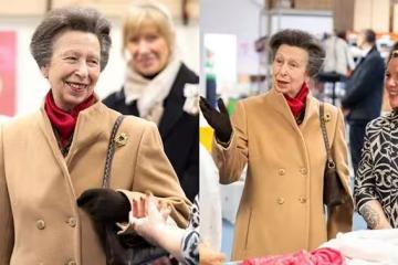 安妮公主以實際行動關注嬰兒援助,重塑王室形象。